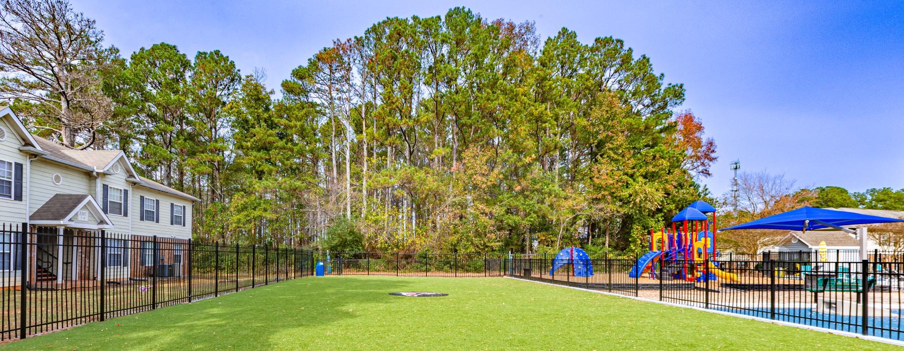 a grassy area with trees in the background